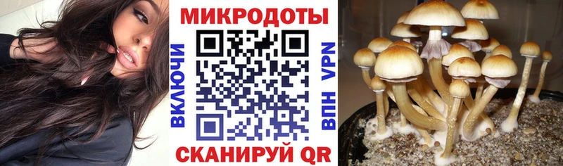 Псилоцибиновые грибы мицелий  Дедовск 