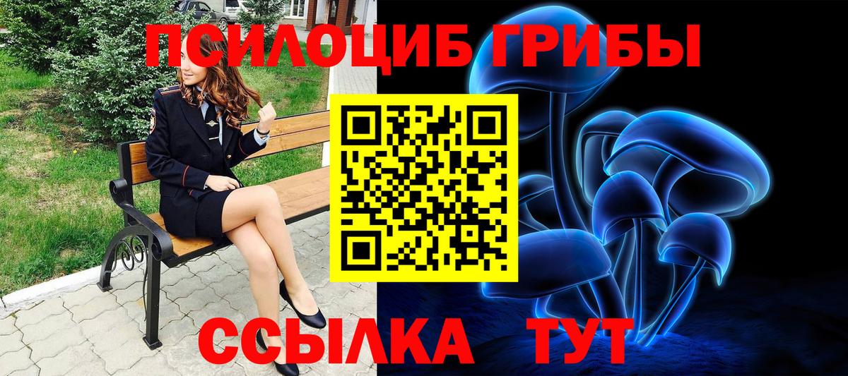 Дедовск  Псилоцибиновые грибы прущие грибы  Вход с VPN 